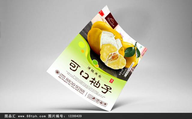 高档柚子宣传海报设计