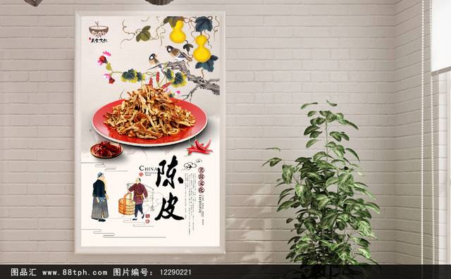 陈皮美食促销海报设计