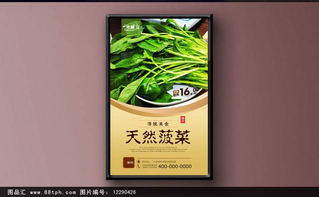 创意天然菠菜海报宣传设计