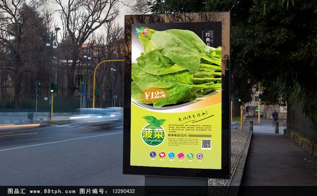 天然有机蔬菜菠菜海报下载