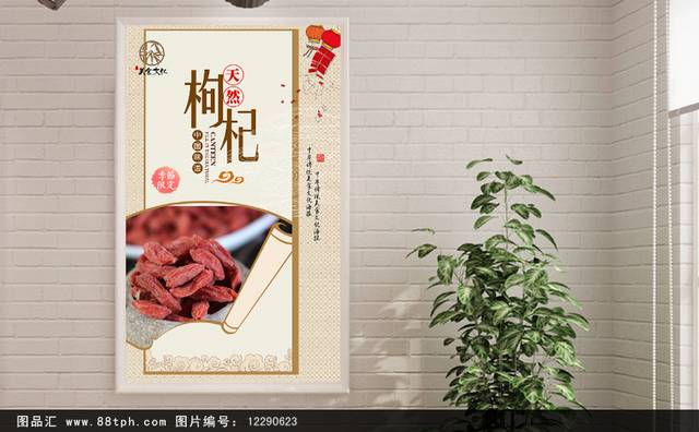 中国风枸杞宣传海报设计