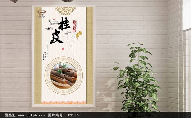 中国风桂皮海报设计