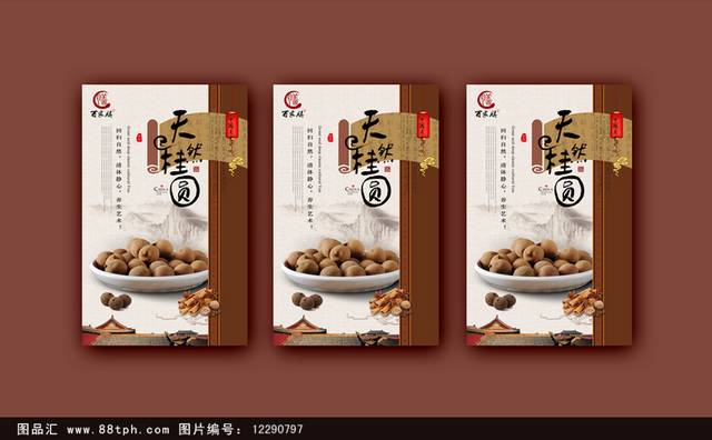 高清桂圆美食海报设计
