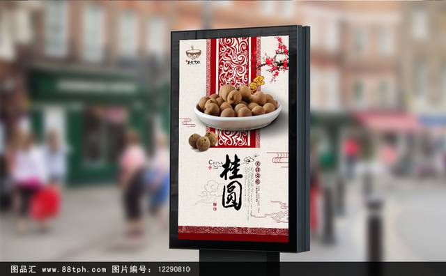 中国风桂圆宣传海报设计