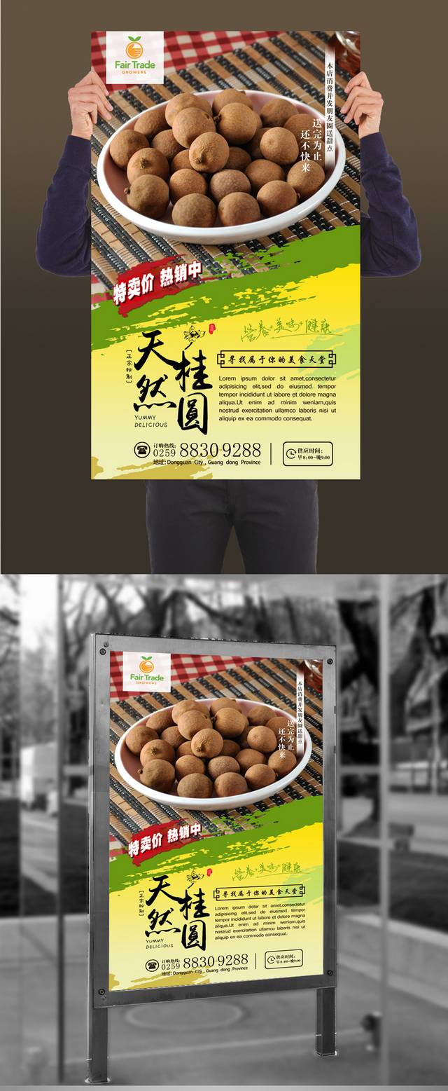 清新桂圆宣传海报设计