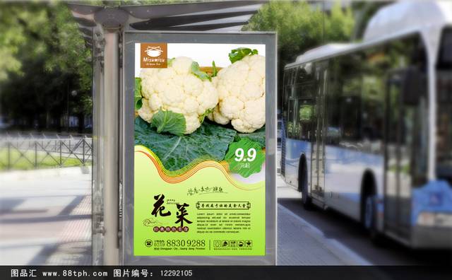 经典花菜宣传海报设计