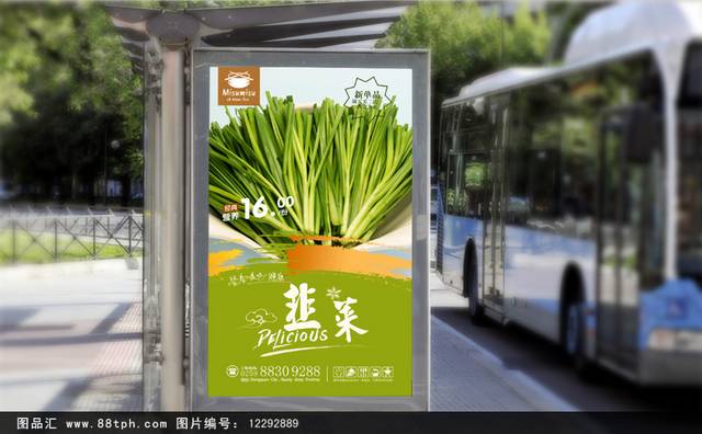 高档韭菜宣传海报设计