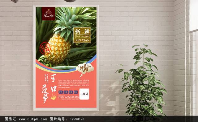 高档新鲜菠萝宣传海报设计