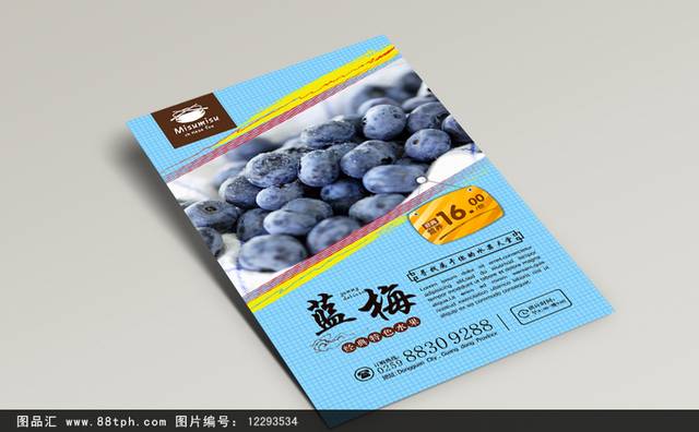 高清蓝莓促销海报设计psd