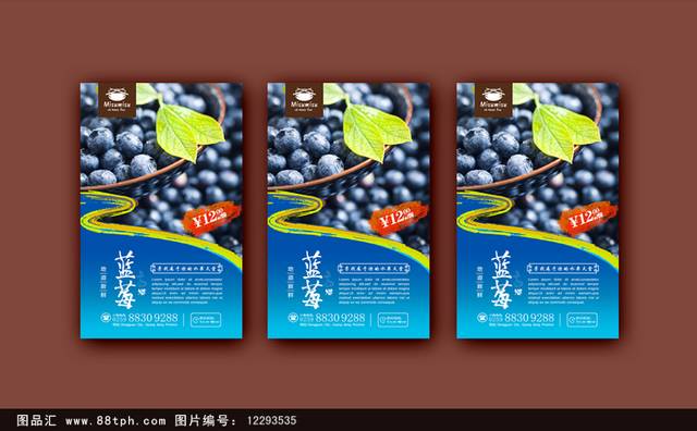 高清蓝莓海报设计psd