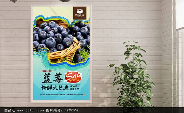 清新蓝莓宣传海报设计