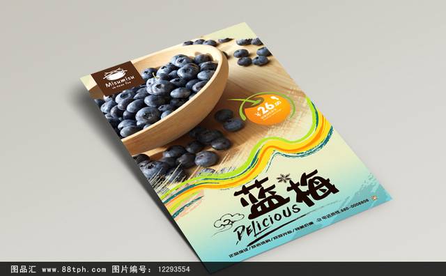 高档蓝莓宣传海报设计