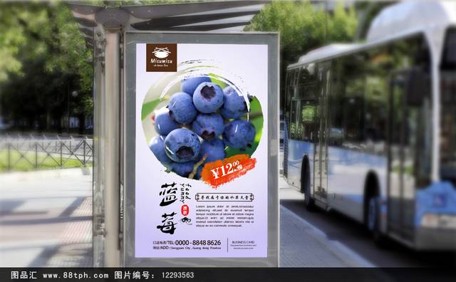 高档蓝莓宣传海报设计psd