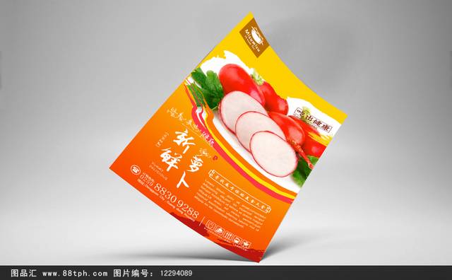 高清萝卜宣传海报设计psd