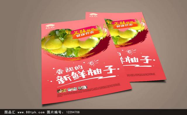 柚子高端海报设计