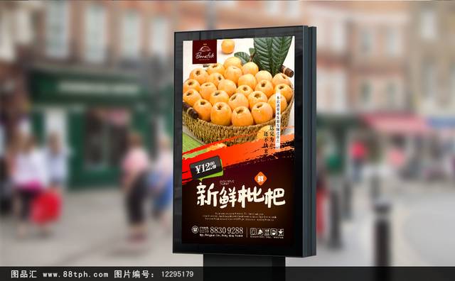 精美水果枇杷宣传海报设计