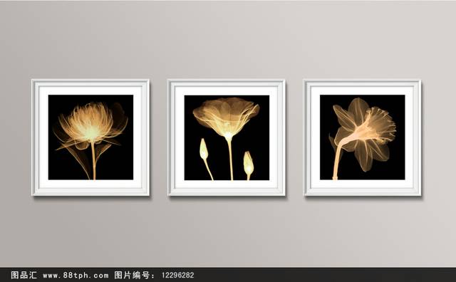 高级透明花卉装饰画设计