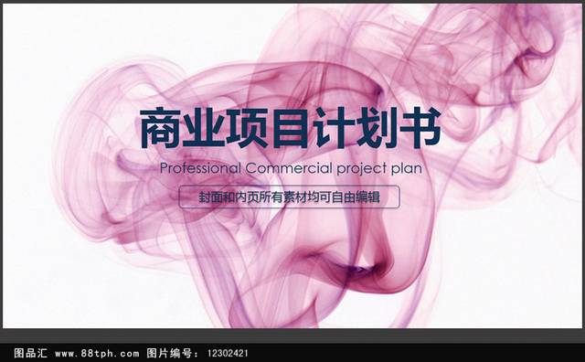 精美时尚商务通用ppt模板