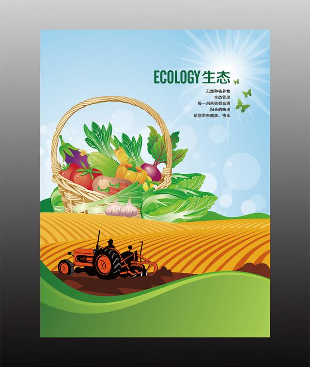 清新农业生态蔬菜水果海报