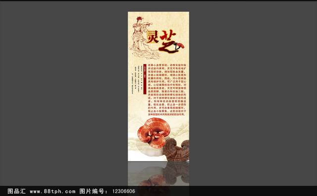 中国风灵芝海报