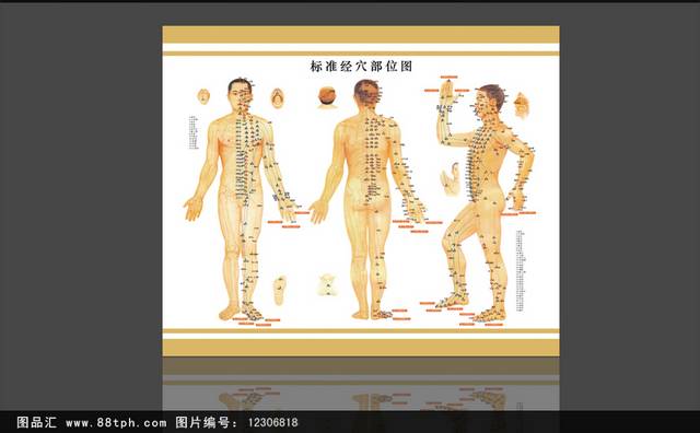 简约人体经络图穴位海报