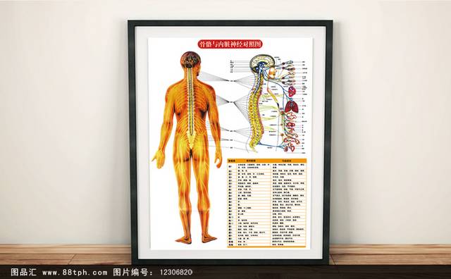 古典简约人体经络穴位图海报模板