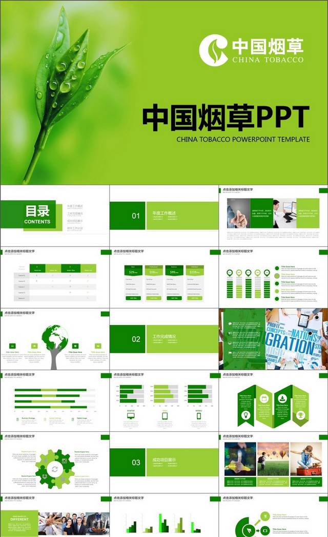 绿色创意中国烟草工作汇报总结计划PPT