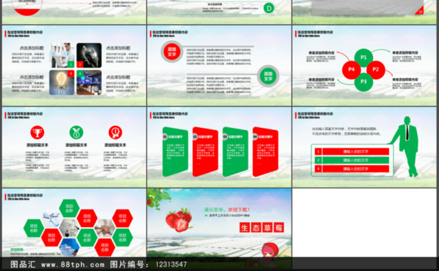 绿色食品生态草莓有机农业总结PPT模板