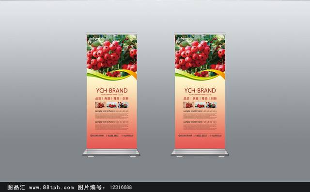 新鲜山楂X展架宣传设计模板