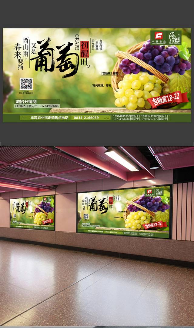 萄葡广告葡萄熟了海报设计