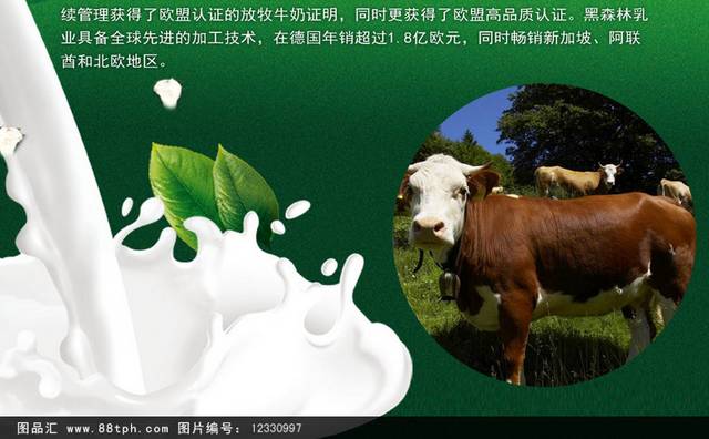 天猫淘宝高端纯牛奶详情页描述模