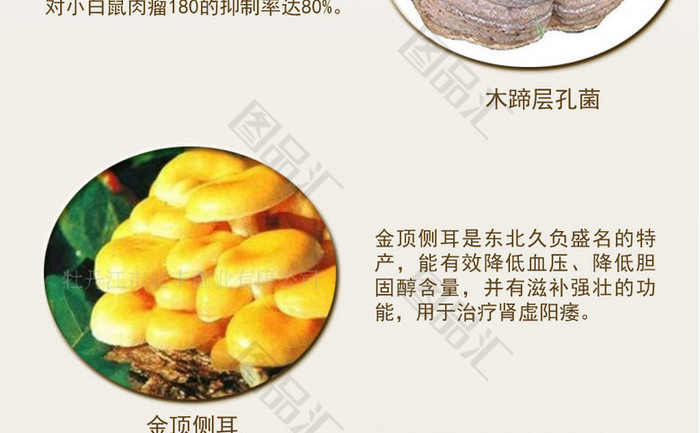 剑灵会员_剑灵会员价格_剑灵会员多少钱一年