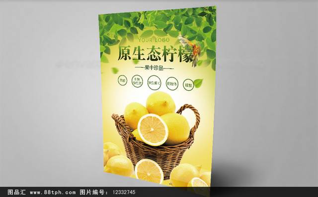生态柠檬宣传单