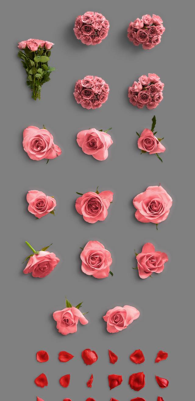 七夕粉色玫瑰设计元素