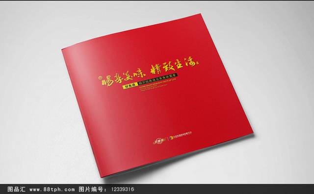 红色中国风企业画册