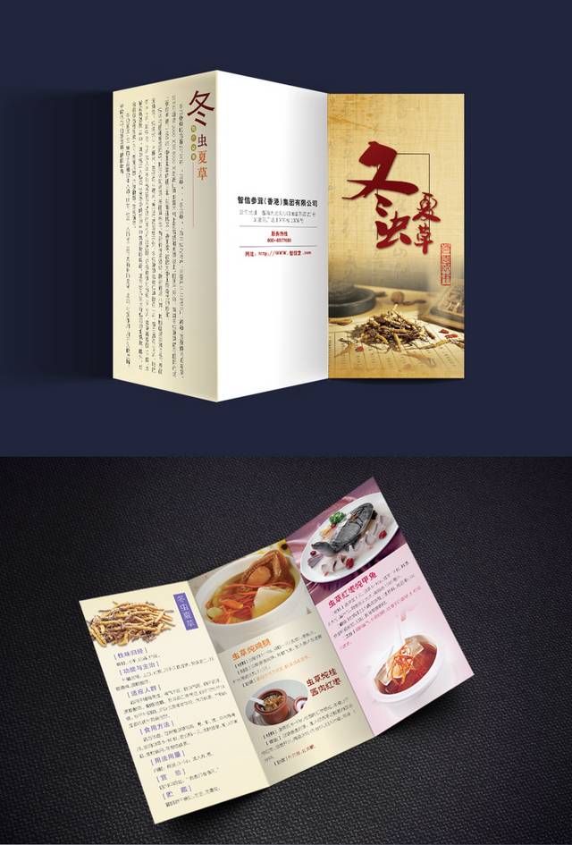 冬虫夏草三折页