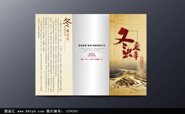 冬虫夏草三折页