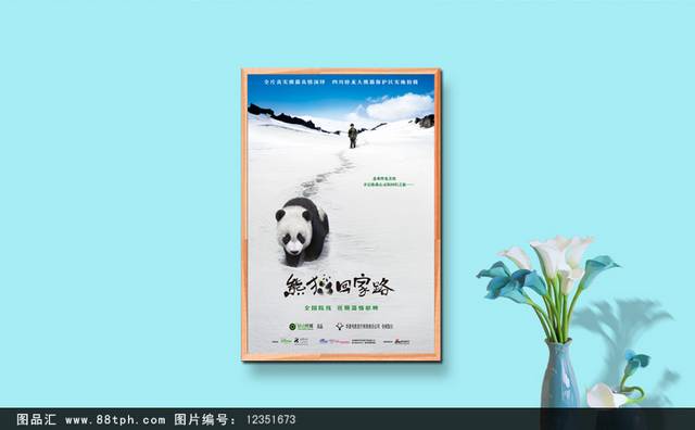 熊猫回家咯电影海报