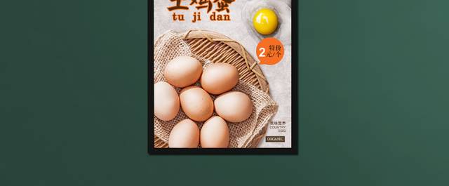 乡村土鸡蛋海报