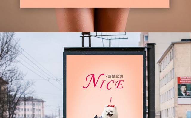 小清新宠物店海报