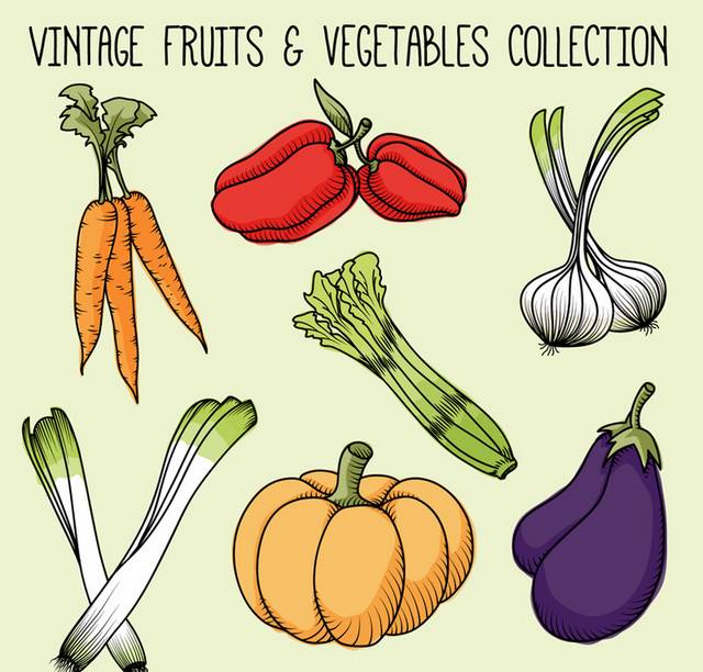 彩绘蔬菜设计