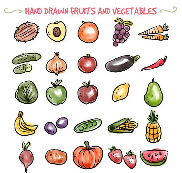 手绘水果和蔬菜