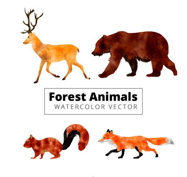 水彩绘森林动物