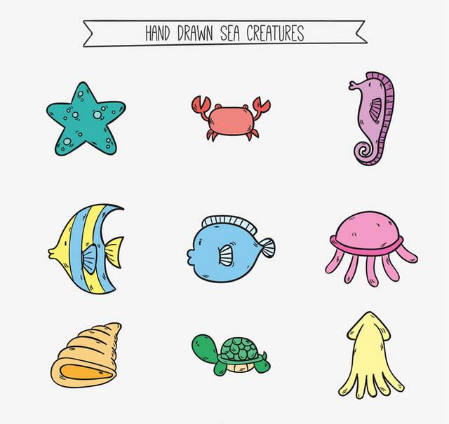 彩绘海洋动物