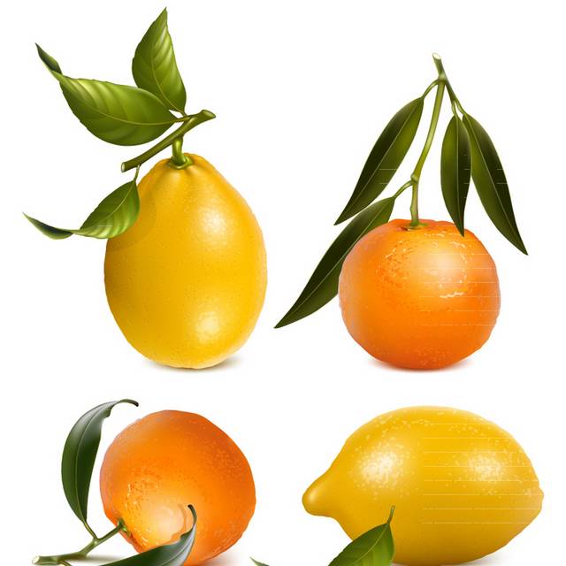 橙子和柠檬矢量