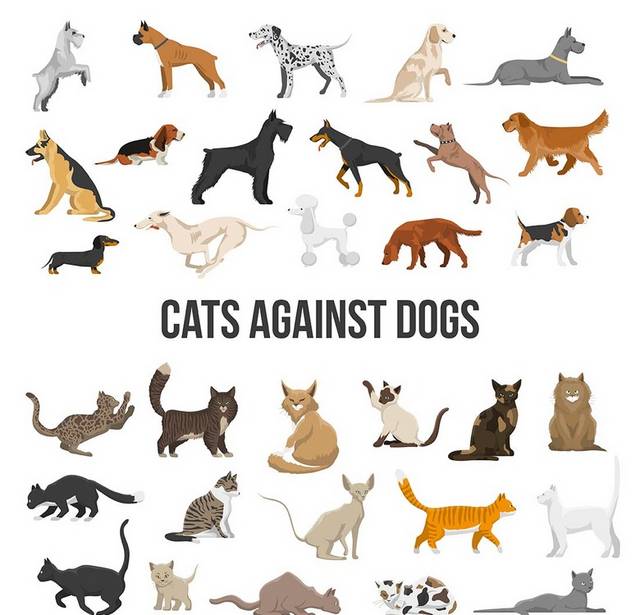 猫狗造型图标