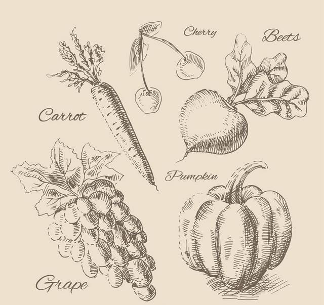 手绘水果和蔬菜菜