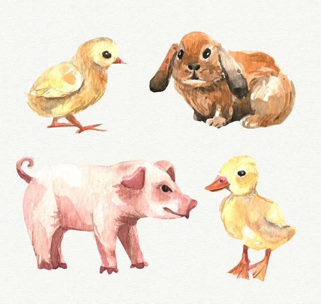 彩绘农场动物