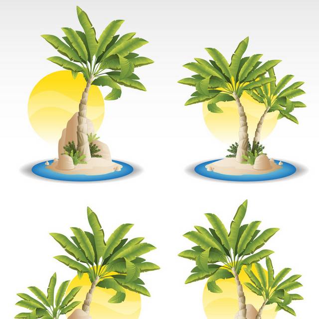 海边的椰树