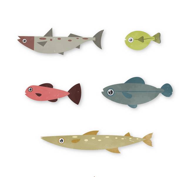 海洋鱼设计矢量